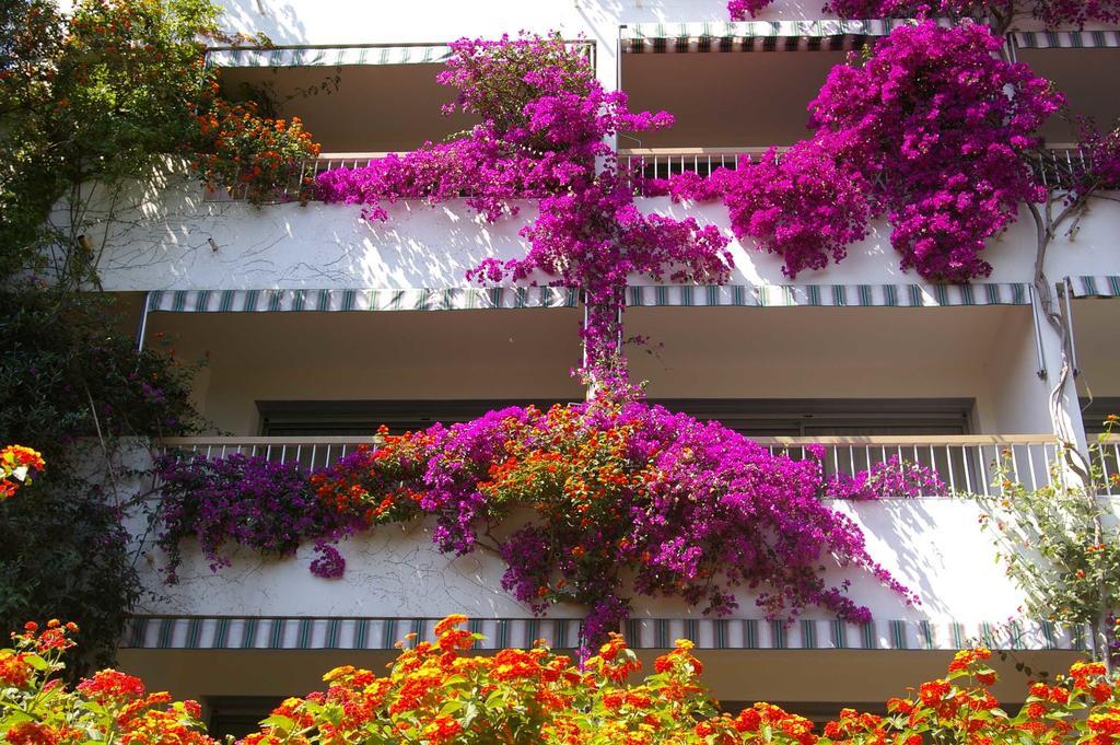 Hotel Pietracap Ville-di-Pietrabugno Exterior foto